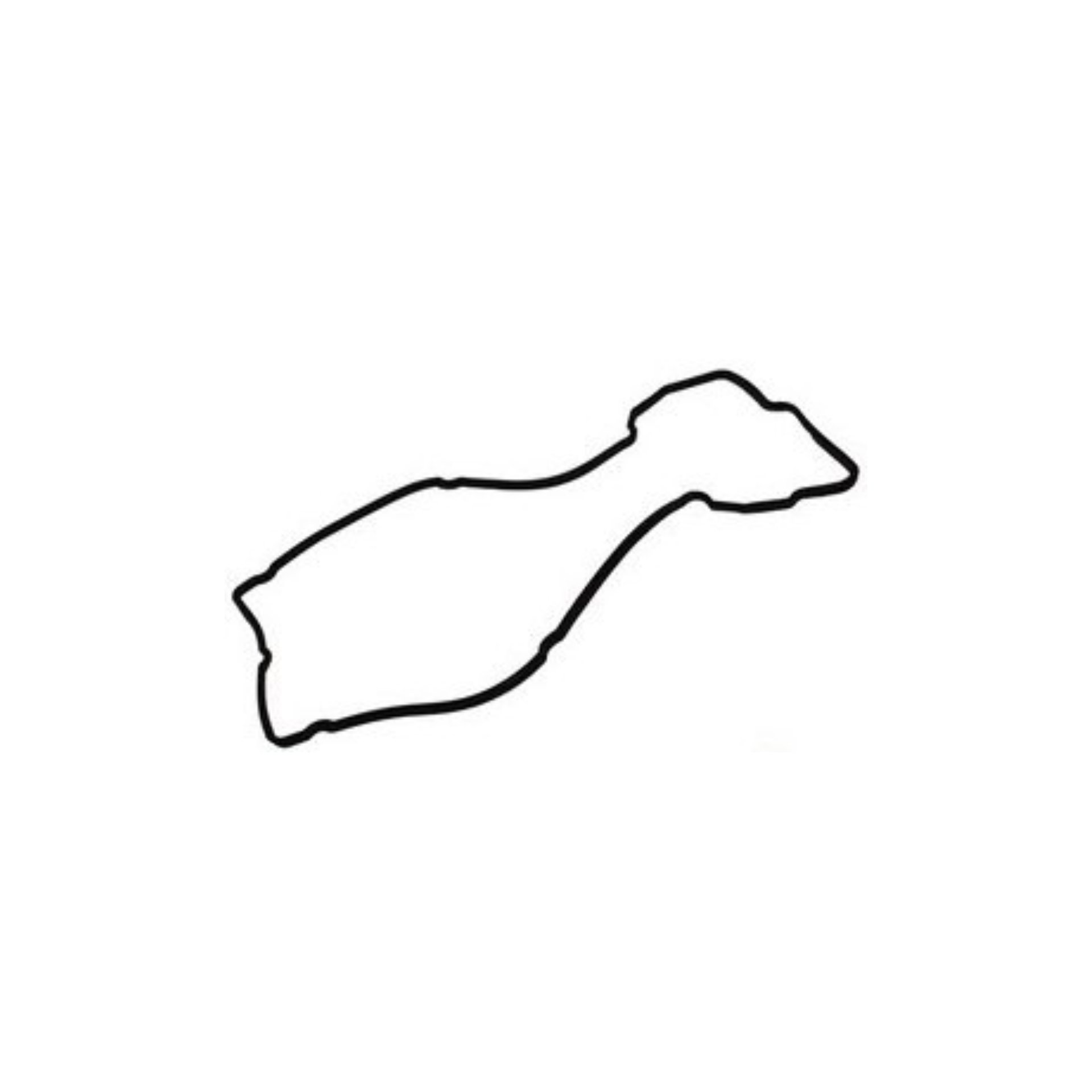 واشر در سوپاپ برلیانس H330